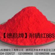 白城bbs红